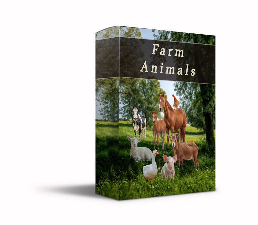 Farm Animal PNG Collection – 40 High-Resolution Files