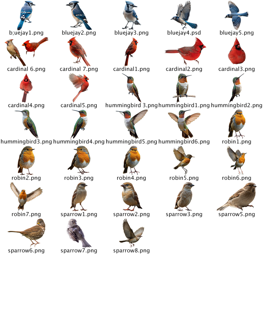 30+ Bird PNG's