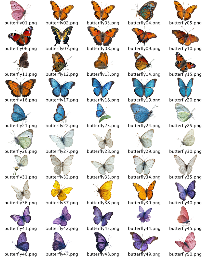 50 Butterfly PNG's