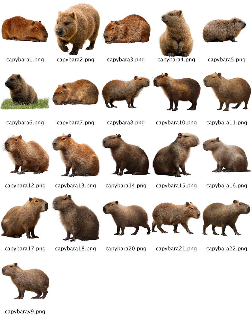 Capybara Overlays