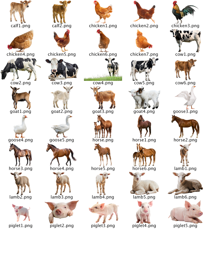 Farm Animal PNG Collection – 40 High-Resolution Files