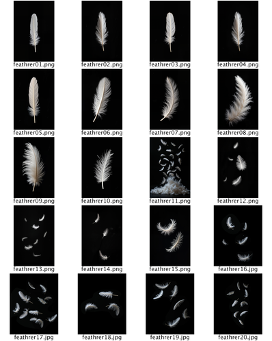 20 White Feather PNG Overlays – Elegant & Versatile