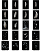 20 White Feather PNG Overlays – Elegant & Versatile