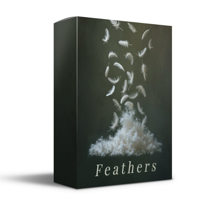 20 White Feather PNG Overlays – Elegant & Versatile