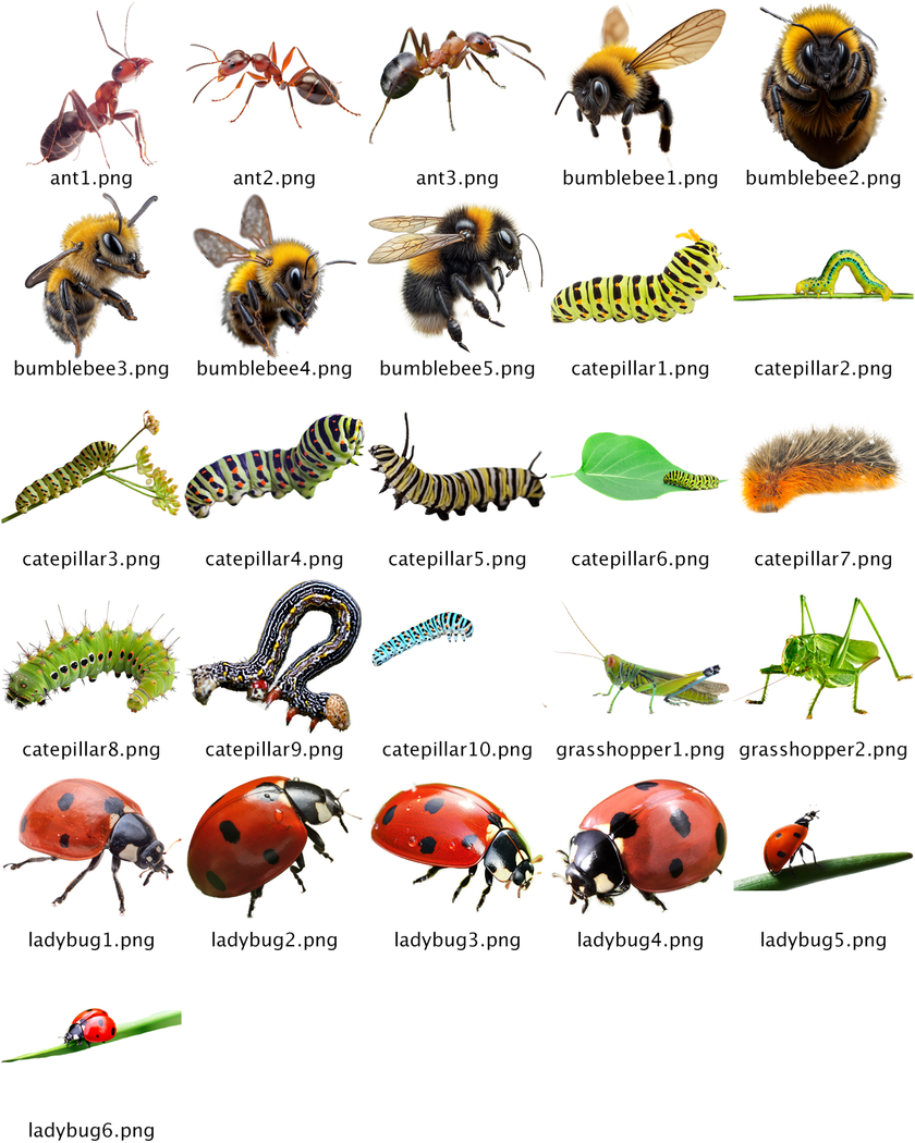 25 Insects .PNGs