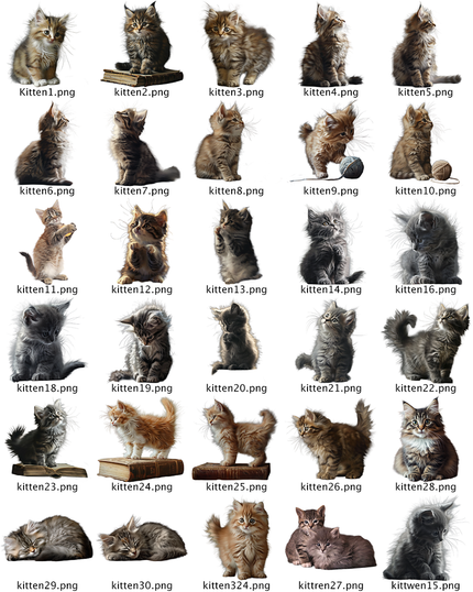 Kitten PNG Overlay Bundle – 32 Fluffy Cat Images