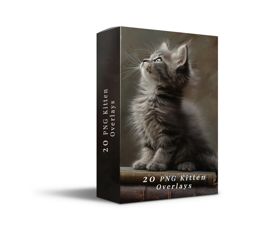 Kitten PNG Overlay Bundle – 32 Fluffy Cat Images
