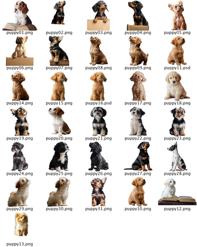 30+ Puppy PNG Overlay Bundle