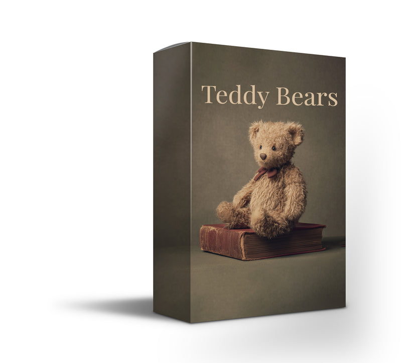 Teddy Bear Overlays